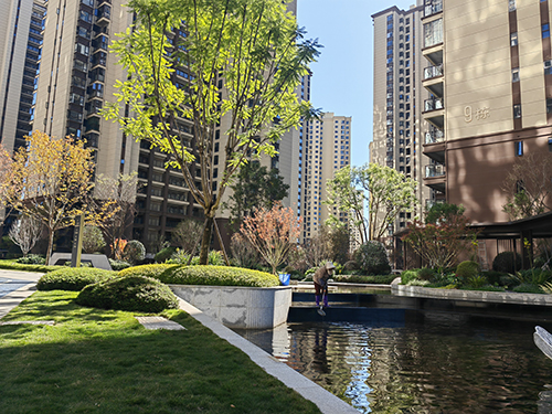 玉溪攻坚历史遗留小区“办证难”问题.jpg 玉溪攻坚历史遗留小区“办证难”问题.jpg