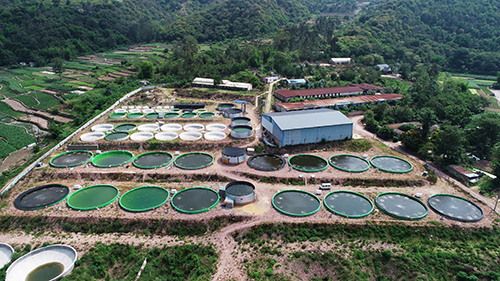 高大乡“智慧养鱼”掀起致富“浪花”.jpg 高大乡“智慧养鱼”掀起致富“浪花”.jpg