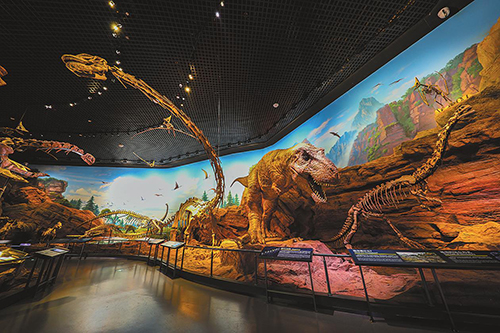 让5亿年前的化石“活”起来、“火”起来.jpg 让5亿年前的化石“活”起来、“火”起来.jpg