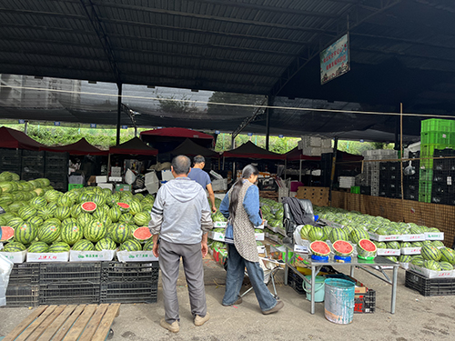 西瓜荔枝集中上市夏日“甜蜜模式”开启.jpg 西瓜荔枝集中上市夏日“甜蜜模式”开启.jpg