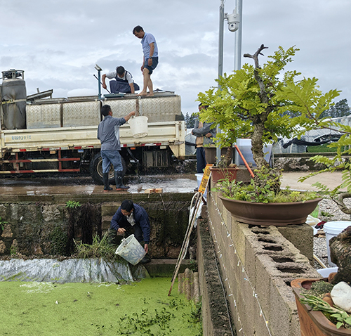 鱼种发放活动举行.jpg 鱼种发放活动举行.jpg