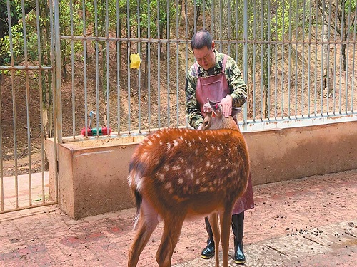 2500375.jpg 2500375.jpg