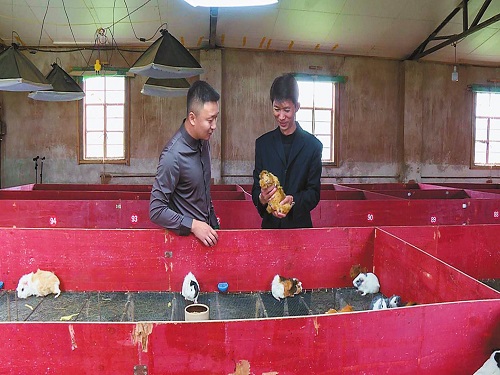 12500375.jpg 12500375.jpg