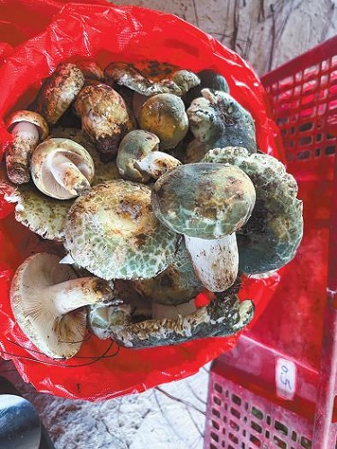 9 (1)500.jpg 9 (1)500.jpg