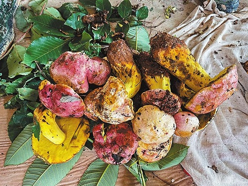 7 (1)500.jpg 7 (1)500.jpg