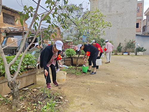“银发”助力社区人居环境整治.jpg “银发”助力社区人居环境整治.jpg