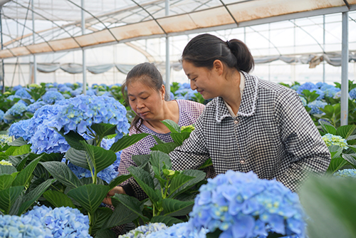 立足资源禀赋 探索高质量发展路径.jpg 立足资源禀赋 探索高质量发展路径.jpg