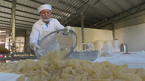 冬瓜蜜饯,一方水土的味觉记忆.jpg 冬瓜蜜饯,一方水土的味觉记忆.jpg