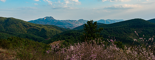 古诗中的宁州八景.jpg 古诗中的宁州八景.jpg