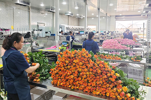 ——玉溪奋力谱写“三农”高质量发展新篇章.jpg ——玉溪奋力谱写“三农”高质量发展新篇章.jpg