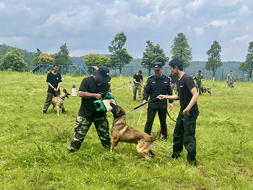 以犬为友护平安 薪火相传铸忠诚.jpg 以犬为友护平安 薪火相传铸忠诚.jpg