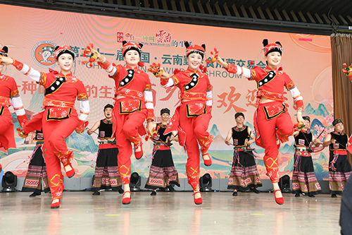 第二十一届中国·云南野生食用菌交易会举办.jpg 第二十一届中国·云南野生食用菌交易会举办.jpg