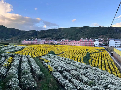 易门小街村走出基层治理特色路2.jpg 易门小街村走出基层治理特色路2.jpg