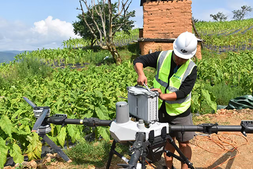 无人机助力羊街乡烟叶采收.jpg 无人机助力羊街乡烟叶采收.jpg