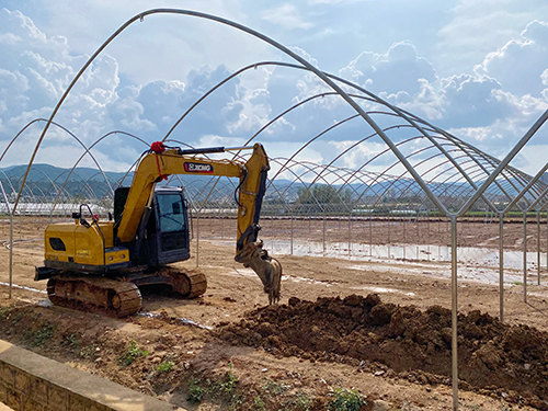 梅营社区建设千亩蓝莓基地助推乡村振兴.jpg 梅营社区建设千亩蓝莓基地助推乡村振兴.jpg