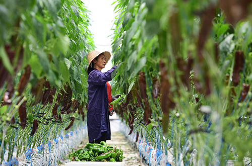 就近就业暖民心.jpg 就近就业暖民心.jpg