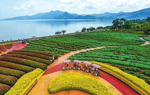 云南澄江:湖泊拥抱的化石小城.jpg 云南澄江:湖泊拥抱的化石小城.jpg