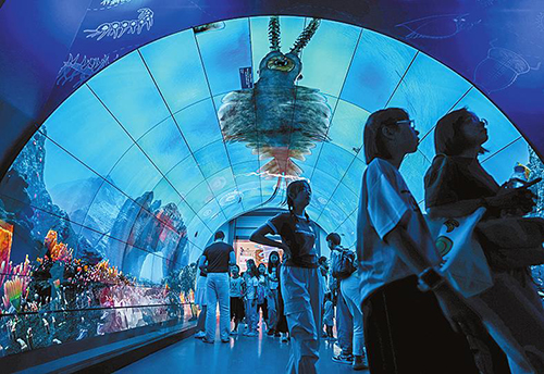 云南澄江:湖泊拥抱的化石小城1.jpg 云南澄江:湖泊拥抱的化石小城1.jpg