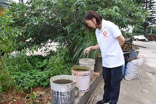 “花蚊子”来袭,当心感染基孔肯雅热.jpg “花蚊子”来袭,当心感染基孔肯雅热.jpg