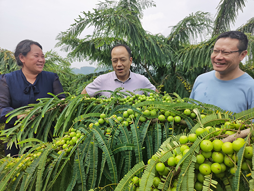 生态优先推进多元发展绿美助力实现富民兴村.jpg 生态优先推进多元发展绿美助力实现富民兴村.jpg