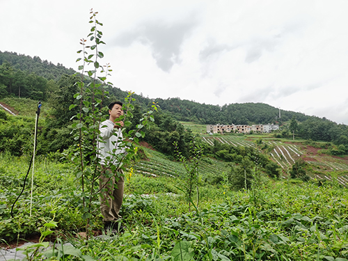 生态优先推进多元发展绿美助力实现富民兴村1.jpg 生态优先推进多元发展绿美助力实现富民兴村1.jpg