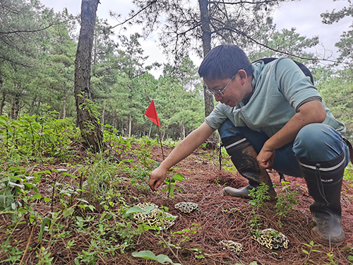 生态优先推进多元发展绿美助力实现富民兴村3.jpg 生态优先推进多元发展绿美助力实现富民兴村3.jpg