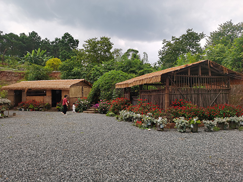 生态优先推进多元发展绿美助力实现富民兴村4.jpg 生态优先推进多元发展绿美助力实现富民兴村4.jpg