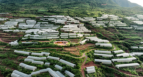 盘活土地兴产业联农带农促增收.jpg 盘活土地兴产业联农带农促增收.jpg