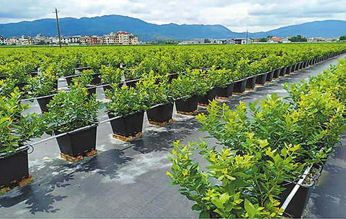 “建治调管宣战”六项措施绘就湖泊生态新画卷3.jpg “建治调管宣战”六项措施绘就湖泊生态新画卷3.jpg