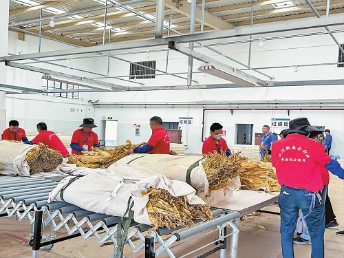 50037502.jpg 50037502.jpg