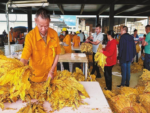 5003751.jpg 5003751.jpg