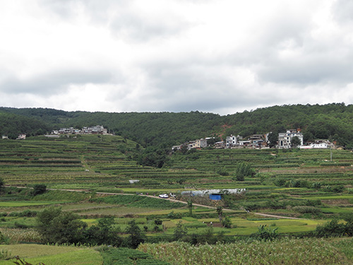 红白事“瘦身” 文明风拂面.jpg 红白事“瘦身” 文明风拂面.jpg